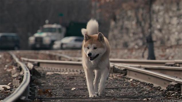 Family Movies Hachi: A Dog’s Tale